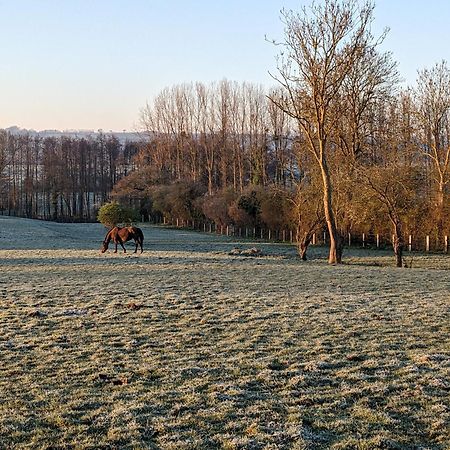 Отель Le Haras D Havetot Anctoville Экстерьер фото
