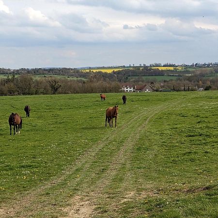 Отель Le Haras D Havetot Anctoville Экстерьер фото